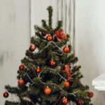 Save Time, Money, and Stress: 5 Easy Steps for Setting Up your Christmas Tree