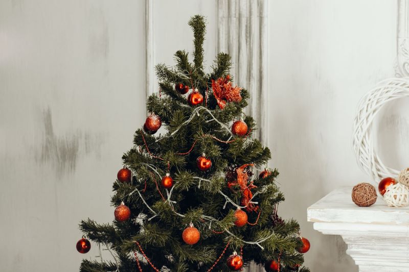 Save Time, Money, and Stress: 5 Easy Steps for Setting Up your Christmas Tree